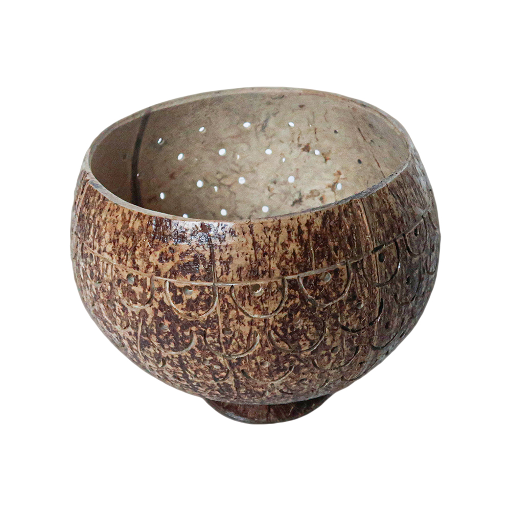 Coconut Shell Bowl Planter