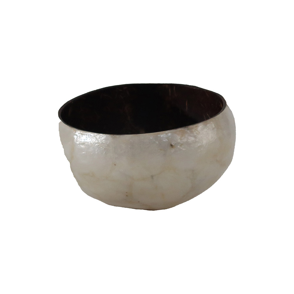 Top Table Decor Coconut Shell Bowl Natural Silver