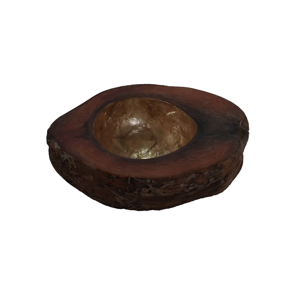 Top Table Decor Coconut Shell Fiber Bowl Natural Gold